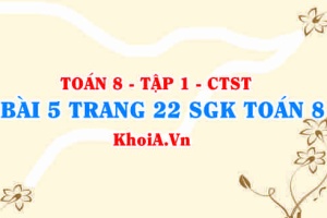 Bài 5 trang 22 SGK Toán 8 Tập 1 Chân trời sáng tạo